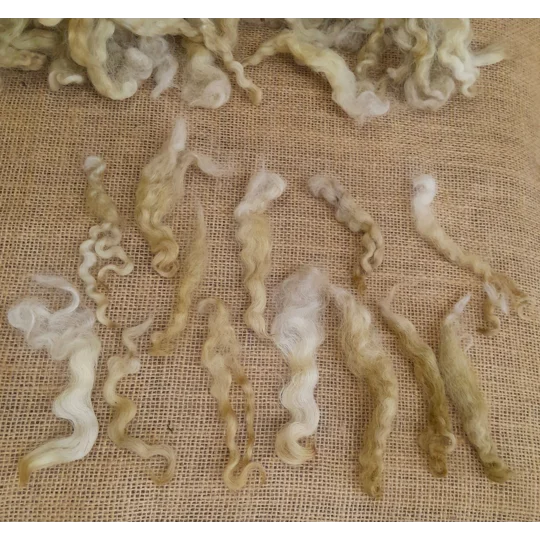 Curly caramel fudge wool locks with long shiny fibres for doll hair, felting and spinning