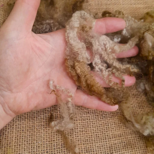 Cinnamon fudge dyed wool locks with lustrous curls for art yarn, weaving and fibre craft work