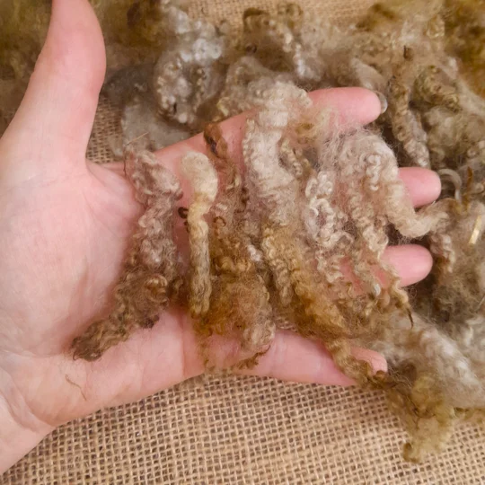Dark Cinnamon fudge Felting Wool, hand dyed teeswater x suffolk curly wool, 10g