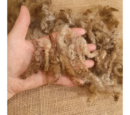 Dark Cinnamon fudge Felting Wool, hand dyed teeswater x suffolk curly wool, 10g