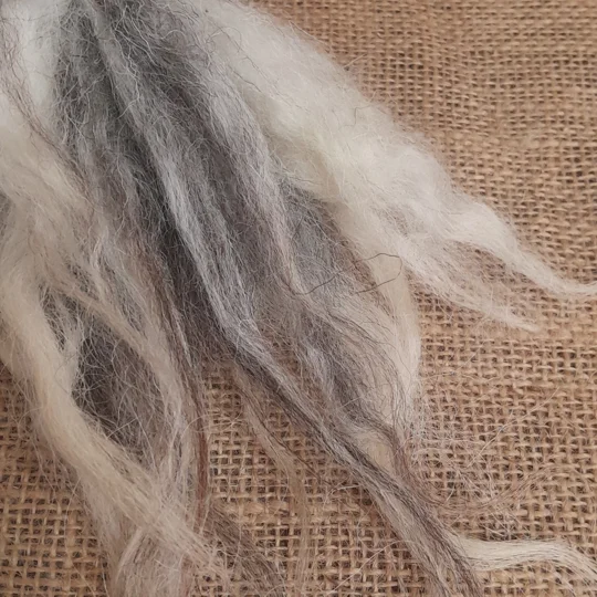 valais blacknose locks, herdwick locks, valais herdwock, wool locks, needle felting locks, needle felting supplies, wavy wool locks, wavy locks, wavy doll hair