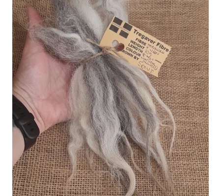 Herdwick and Valias Blacknose wool locks 10g for felting and doll hair