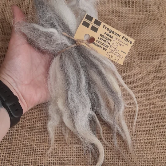 valais blacknose locks, herdwick locks, valais herdwock, wool locks, needle felting locks, needle felting supplies, wavy wool locks, wavy locks, wavy doll hair