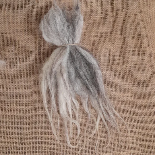 valais blacknose locks, herdwick locks, valais herdwock, wool locks, needle felting locks, needle felting supplies, wavy wool locks, wavy locks, wavy doll hair
