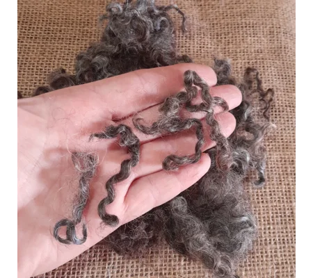 Coloured Wensleydale Felting Wool, natural undyed curly wool, 10g