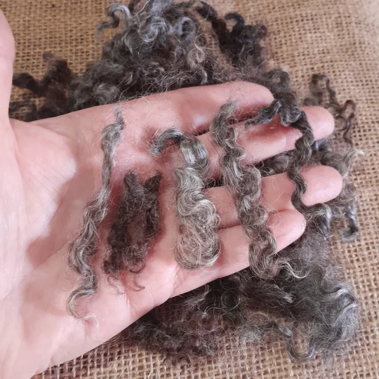 colouredwensleydale, wensleydale wool, felting, felting wool, coloured felting wool, rare breed felting wool, curly wool, curly felting wool