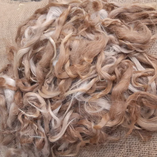 Suri alpaca fibre, natural alpaca locks, doll hair reroots, gnome beard fibre, caramel fawn alpaca, needle felting locks