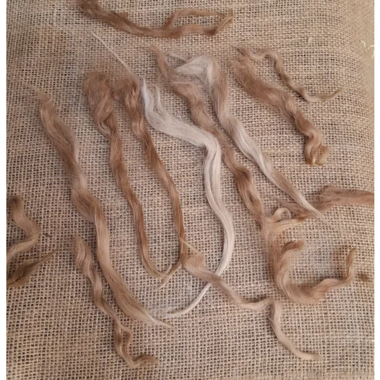 Suri alpaca fibre, natural alpaca locks, doll hair reroots, gnome beard fibre, caramel fawn alpaca, needle felting locks