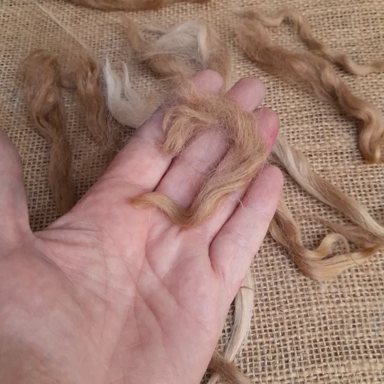 Suri alpaca fibre, natural alpaca locks, doll hair reroots, gnome beard fibre, caramel fawn alpaca, needle felting locks