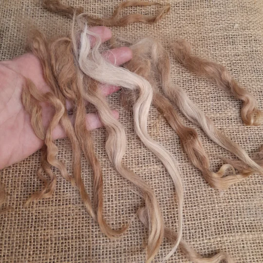 Suri alpaca fibre, natural alpaca locks, doll hair reroots, gnome beard fibre, caramel fawn alpaca, needle felting locks