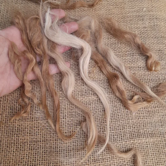 Suri alpaca fibre, natural alpaca locks, doll hair reroots, gnome beard fibre, caramel fawn alpaca, needle felting locks