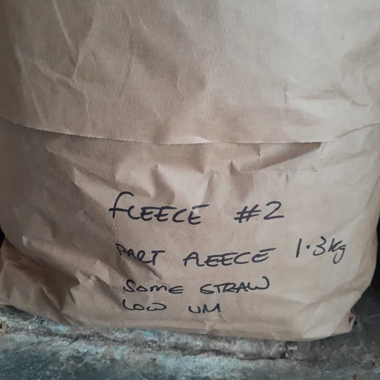 Dutch Spotted Sheep fleece section. wool fleece for spinning, 1.3kg approx