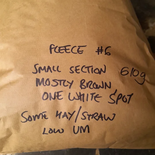 Dutch Spotted Sheep fleece section. wool fleece for spinning, 610g approx