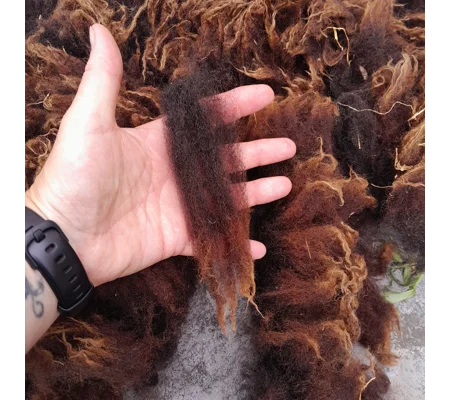 Dutch Spotted Sheep fleece section. wool fleece for spinning, 500g approx, single colour section