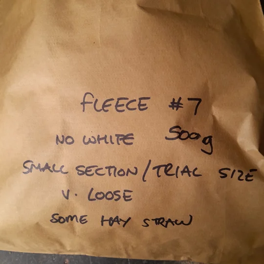 Dutch Spotted Sheep fleece section. wool fleece for spinning, 500g approx, single colour section