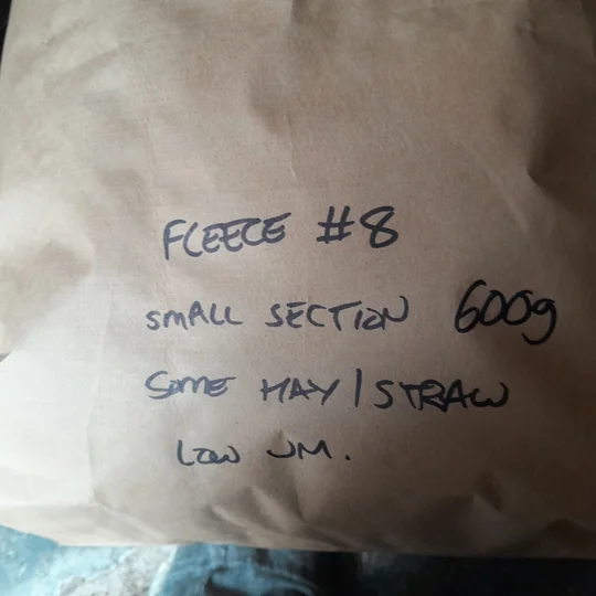 Dutch Spotted Sheep fleece section. wool fleece for spinning, 600g approx,