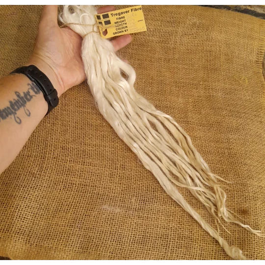 extreme long length suri alpaca locks in natural undyed white