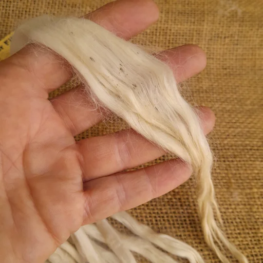 white alpaca locks, suri locks, suri doll hair