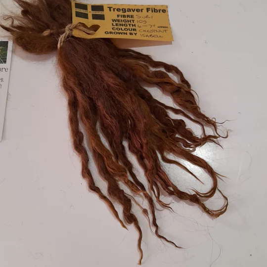 budget suri alpaca locks chestnut colour