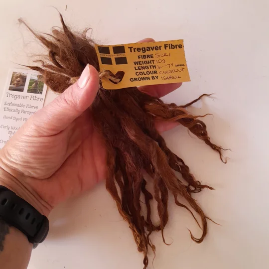 chestnut brown locks