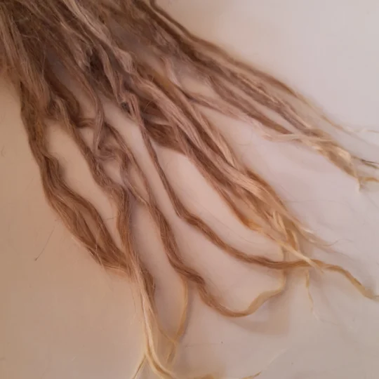 Suri Alpaca locks, 10g Light Ash (rose grey) long 10" staple, undyed washed premium doll hair fibre