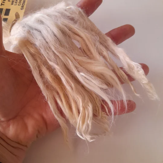 Suri Alpaca locks, 10g Linen (Light beige) long 8" staple, undyed washed premium doll hair fibre