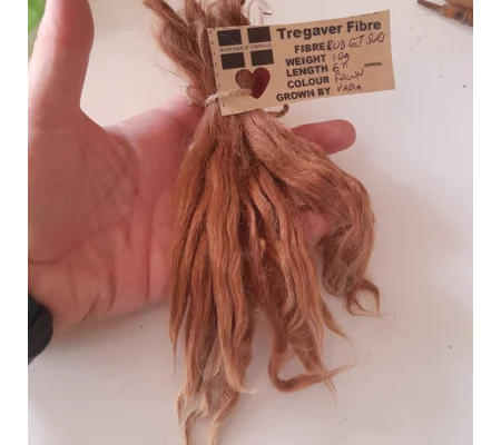 Budget Suri Alpaca locks, 10g, fawn, 4-6"
