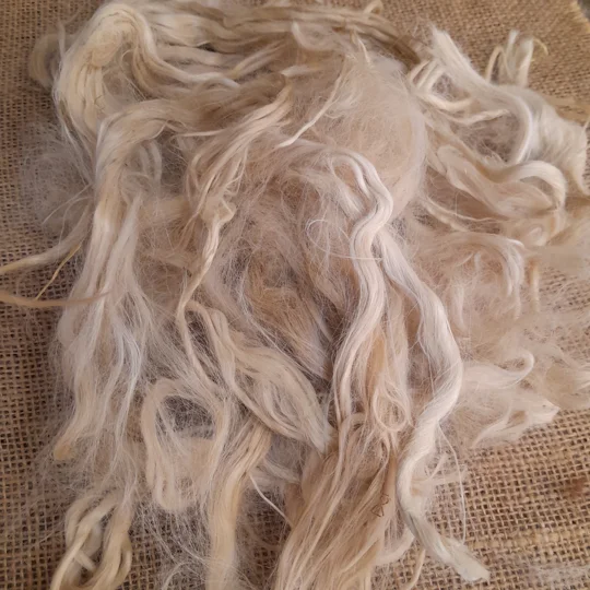 Raw Suri Alpaca Budget (imperfect) fibre 4 colours to choose