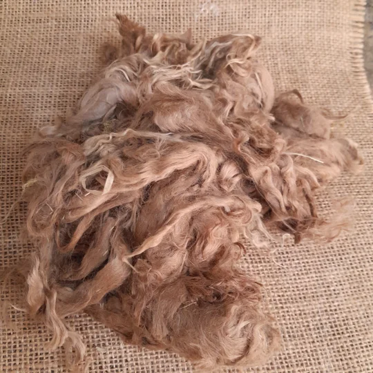 Raw Suri Alpaca Budget (imperfect) fibre 4 colours to choose