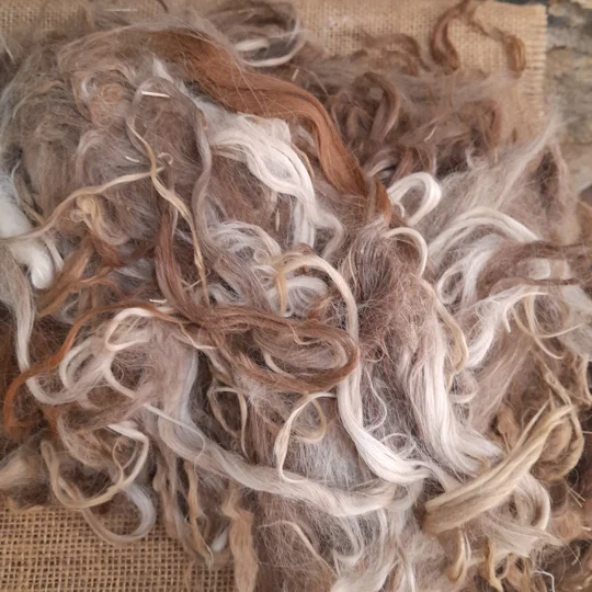Raw Suri Alpaca Budget (imperfect) fibre 4 colours to choose