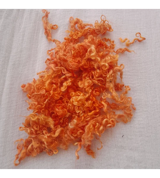 pumpkin orange teeswater