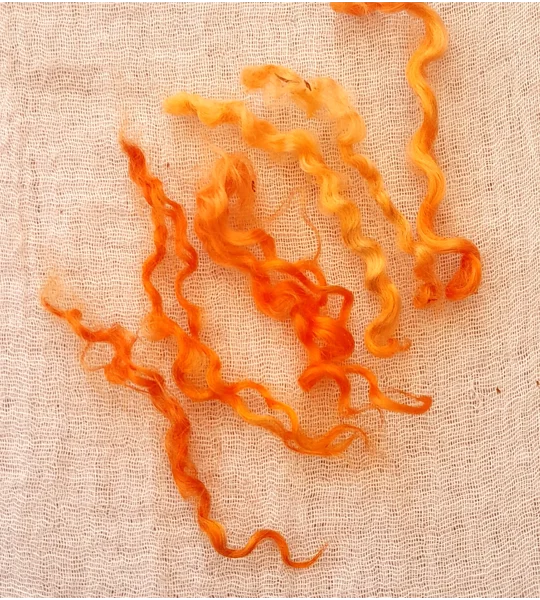 hand dyed pumpkin orange curly wool