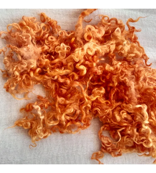 curly wool hand dyed in pumpkin orange
