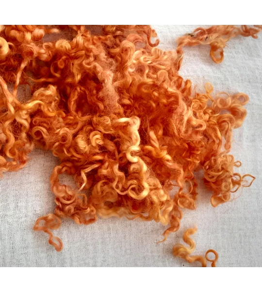 curly orange teeswater curly wool and locks