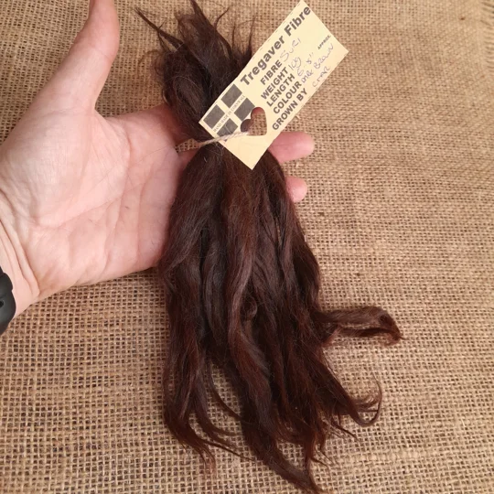 Suri Alpaca locks, 10g dark brown 6-8" undyed washed premium doll hair fibre