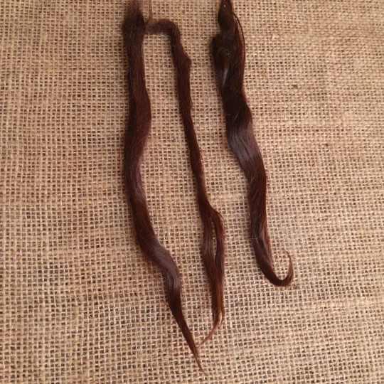 Suri Alpaca locks, 10g dark brown 6-8" undyed washed premium doll hair fibre