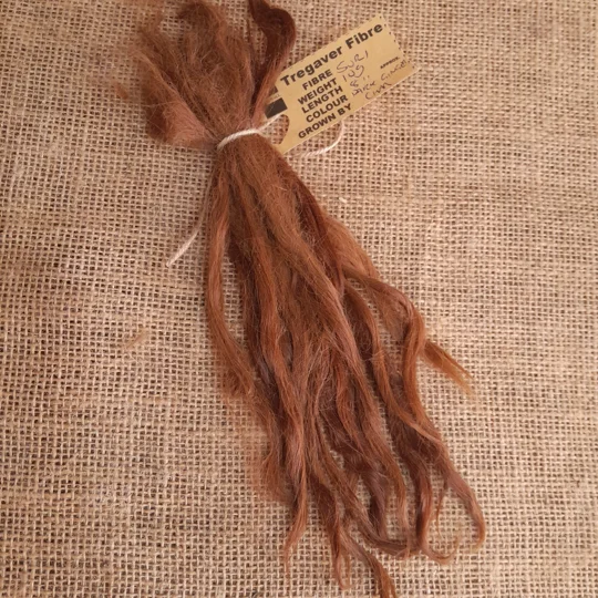 ginger alpaca locks