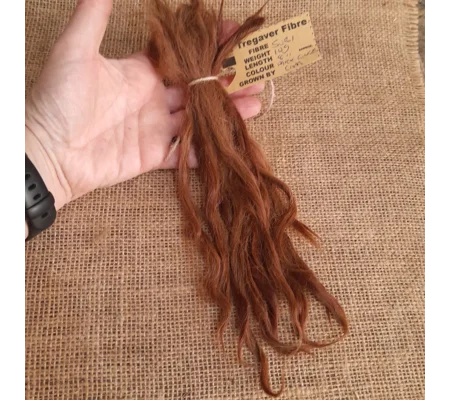 Suri Alpaca locks, 10g dark ginger 8" undyed washed premium doll hair fibre