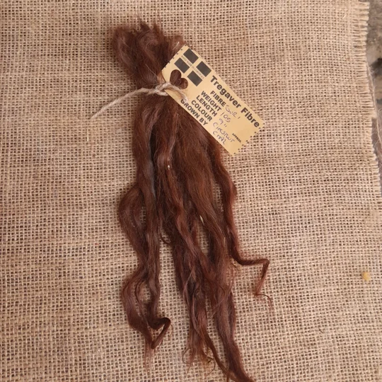 chestnut suri alpaca blythe hair