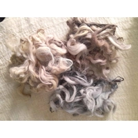 Devon and Cornwall longwool 3 nature colours mix curly wool