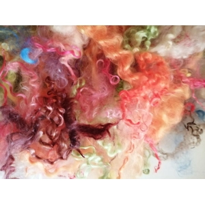 curly wool, 28g, 6 breeds of curly wool sheep