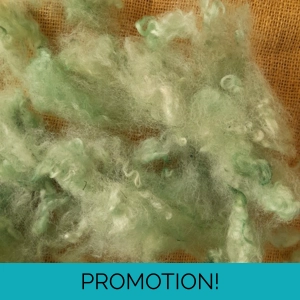 Wool Cloud - pale green - Perendale wool - hand dyed - 10g