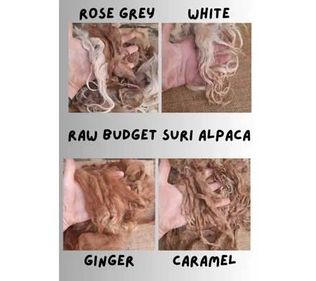 Raw Suri Alpaca Budget (imperfect) fibre 4 colours to choose