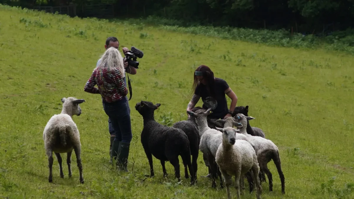 Filming on the Farm