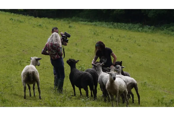 Filming on the Farm
