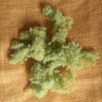 Wool Nepps - tiny balls of wool - hand dyed in light green mixed tones Wool Nepps - tiny balls of wool - hand dyed in light green mixed tones