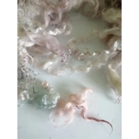 rainbow pastels curly wool, 10g, 3 breeds of curly wool sheep