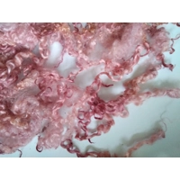 tea rose pink teeswater loose curly wool 10g