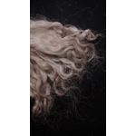 Light Ash Brown wavy wool locks, Grey Faced Dartmoor, rare breed sheep (v)