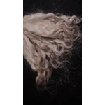 Light Ash Brown wavy wool locks, Grey Faced Dartmoor, rare breed sheep (v)